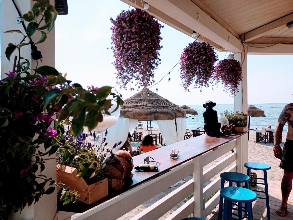 فيوميتشينو B&B Purple Italy المظهر الخارجي الصورة